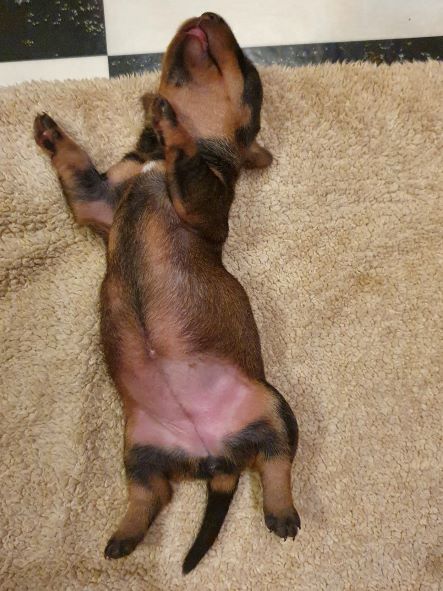 20210704 Tik pa rygg dag6