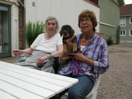 Elvira_med_nya_matte_i_Alingsas_dag65